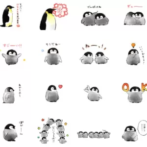 あなたはどちら派？のサムネイル