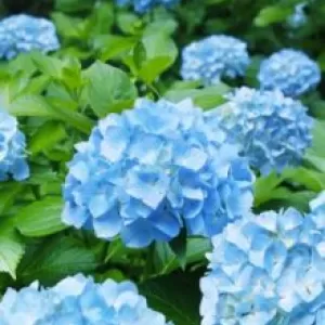 自らを宥める今日この頃のサムネイル